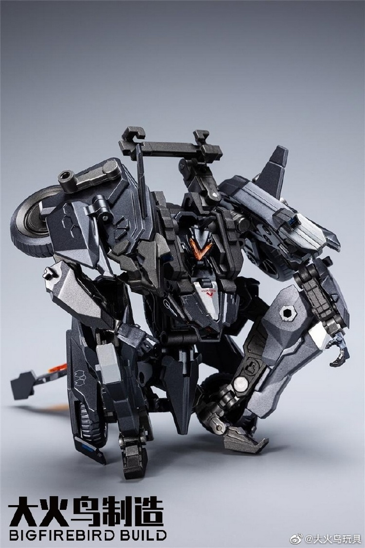 大火鸟 重晴鸟_2.jpg