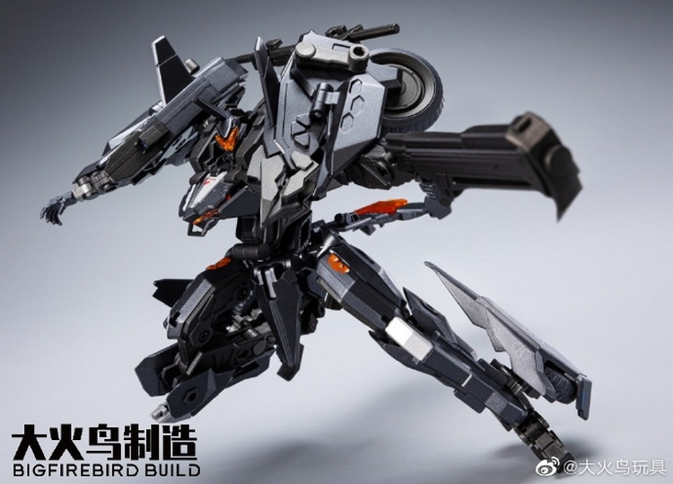 大火鸟 重晴鸟_3.jpg